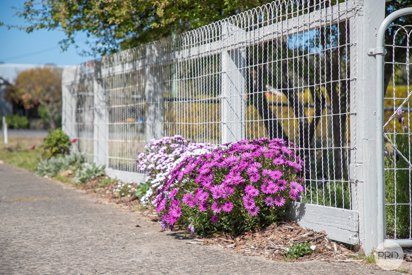 10 Reed Street CRESWICK 17