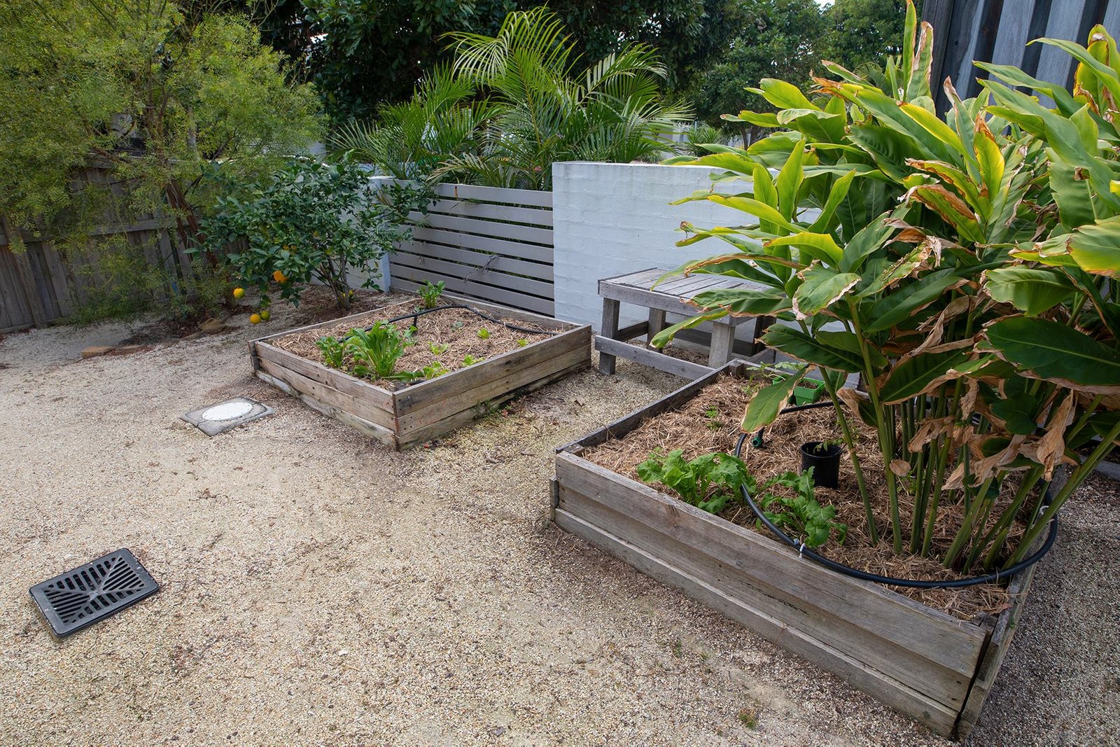 10 Riberry Drive CASUARINA 21