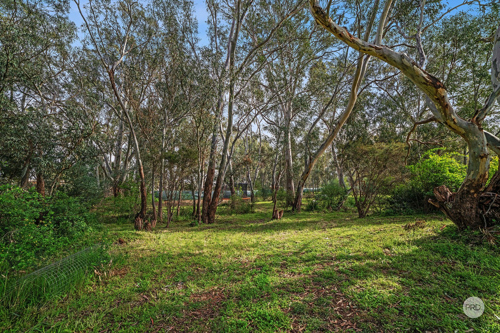 10 Shepherds Glen STRATHFIELDSAYE 26