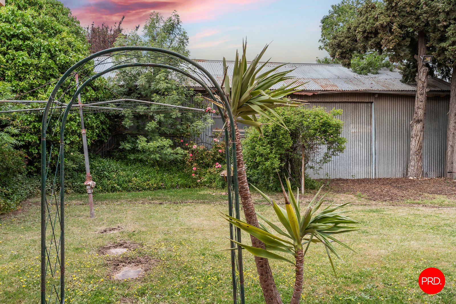 10 Steane Street KENNINGTON 16