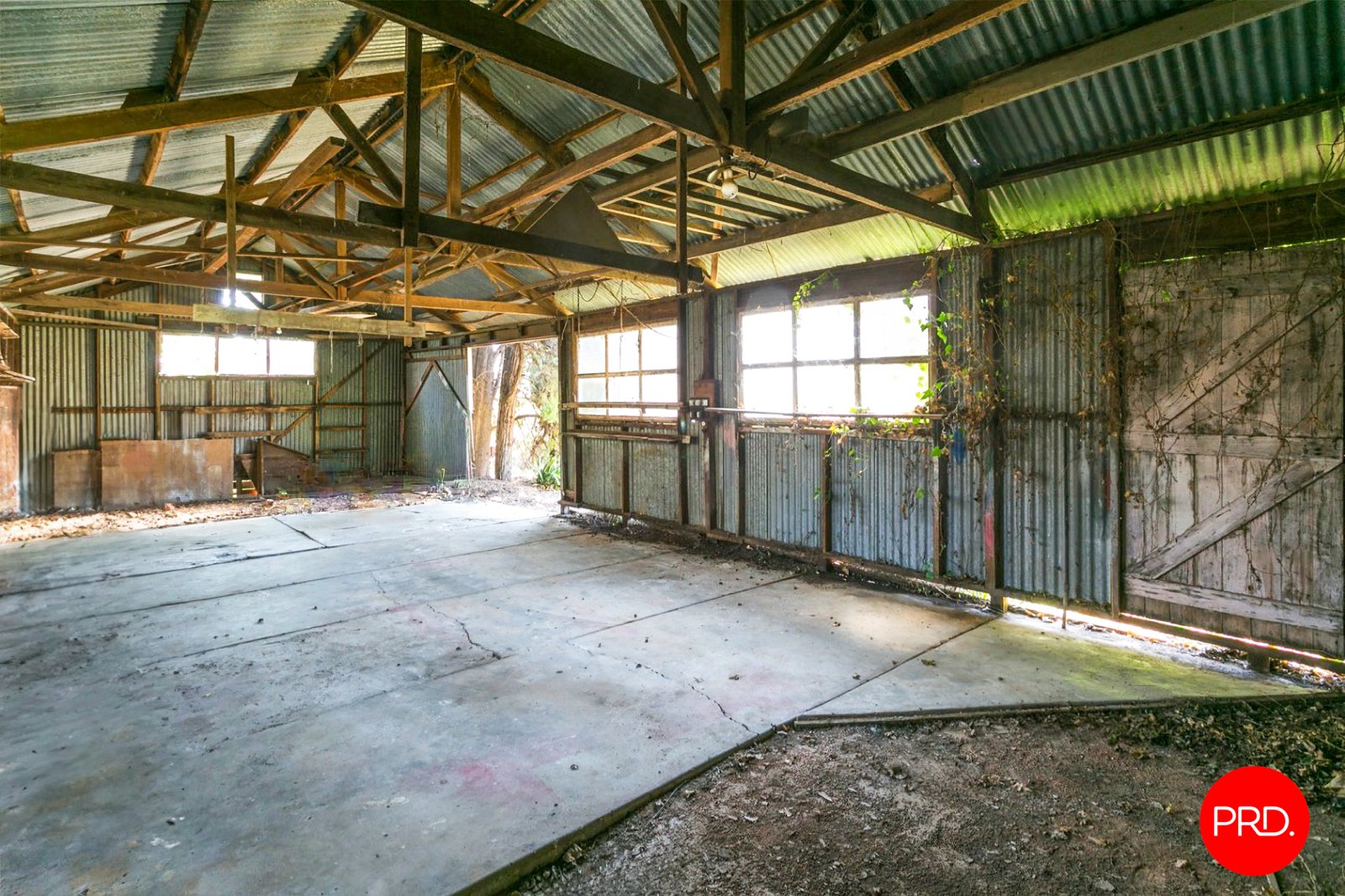 10 Steane Street KENNINGTON 18