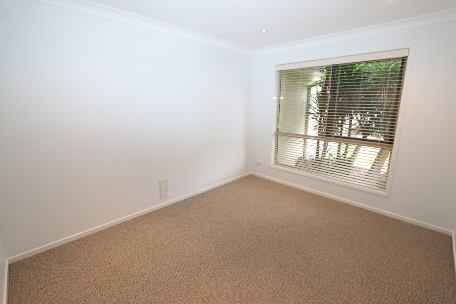 10 Stringybark Drive MOLENDINAR 15