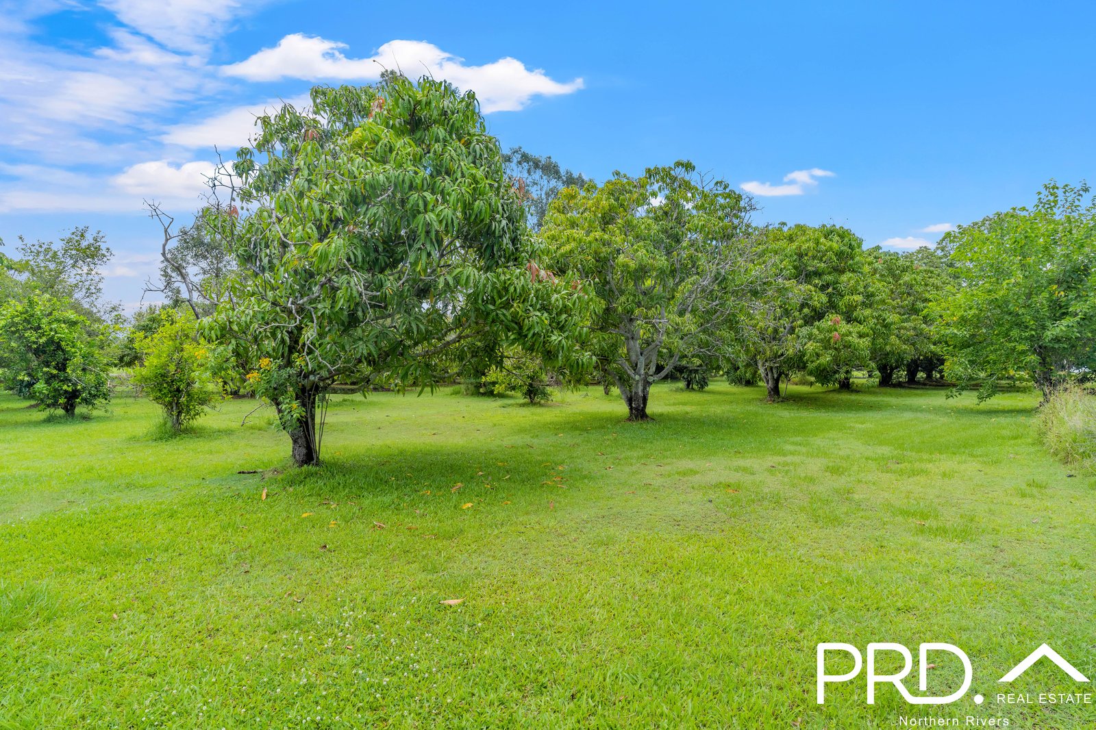 10 Strongs Road FAIRY HILL 22