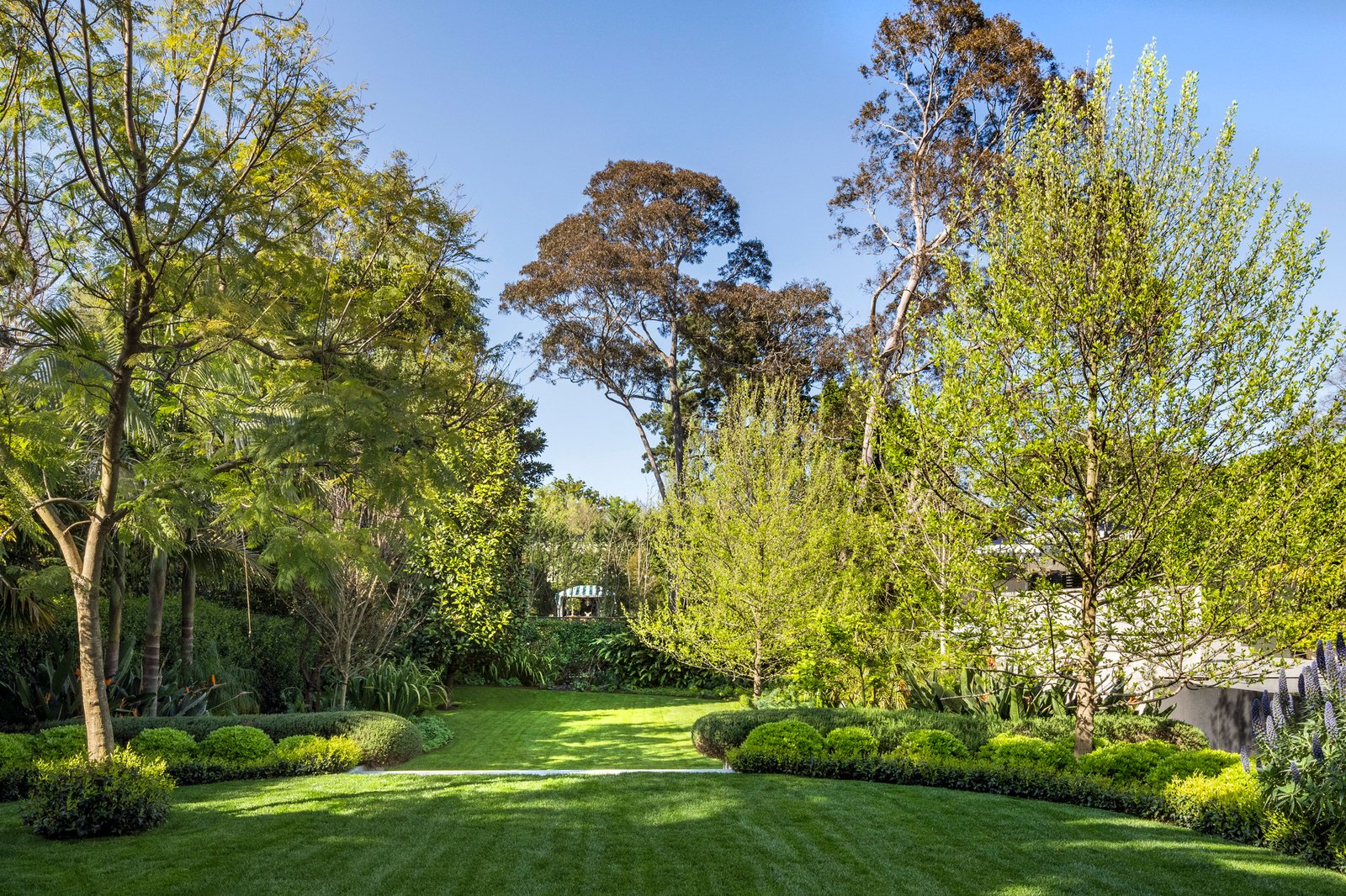 10 Struan Street, Toorak, 3142