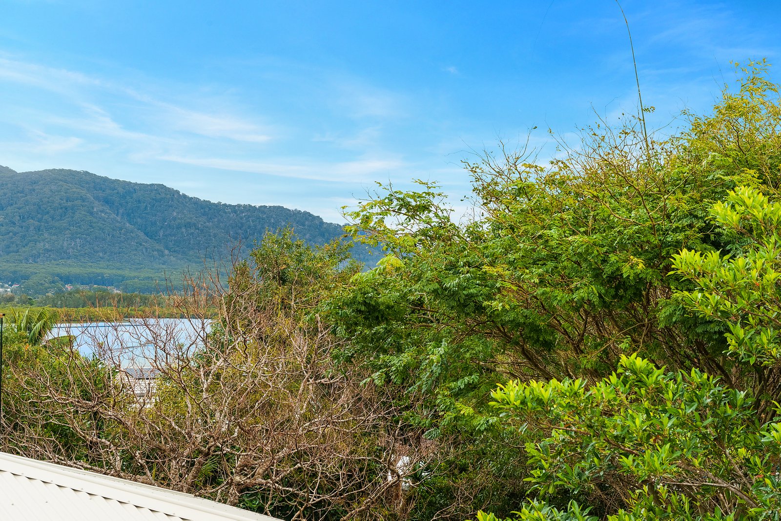 10 Unique Close CAMDEN HEAD 4