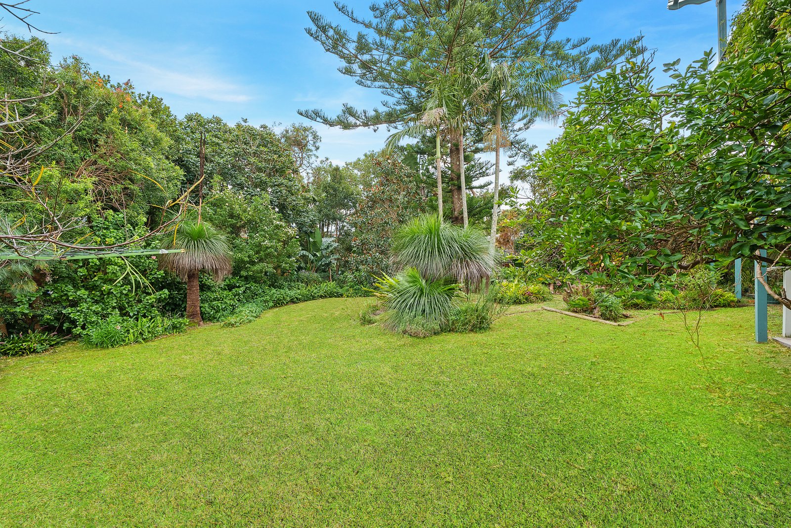 10 Unique Close CAMDEN HEAD 15