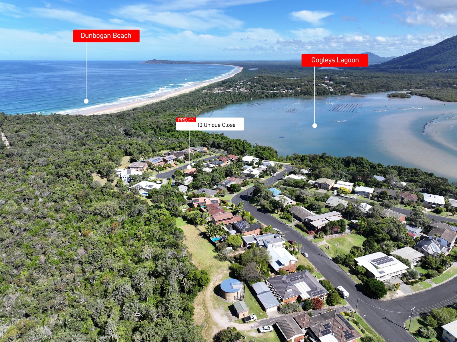 10 Unique Close CAMDEN HEAD 17