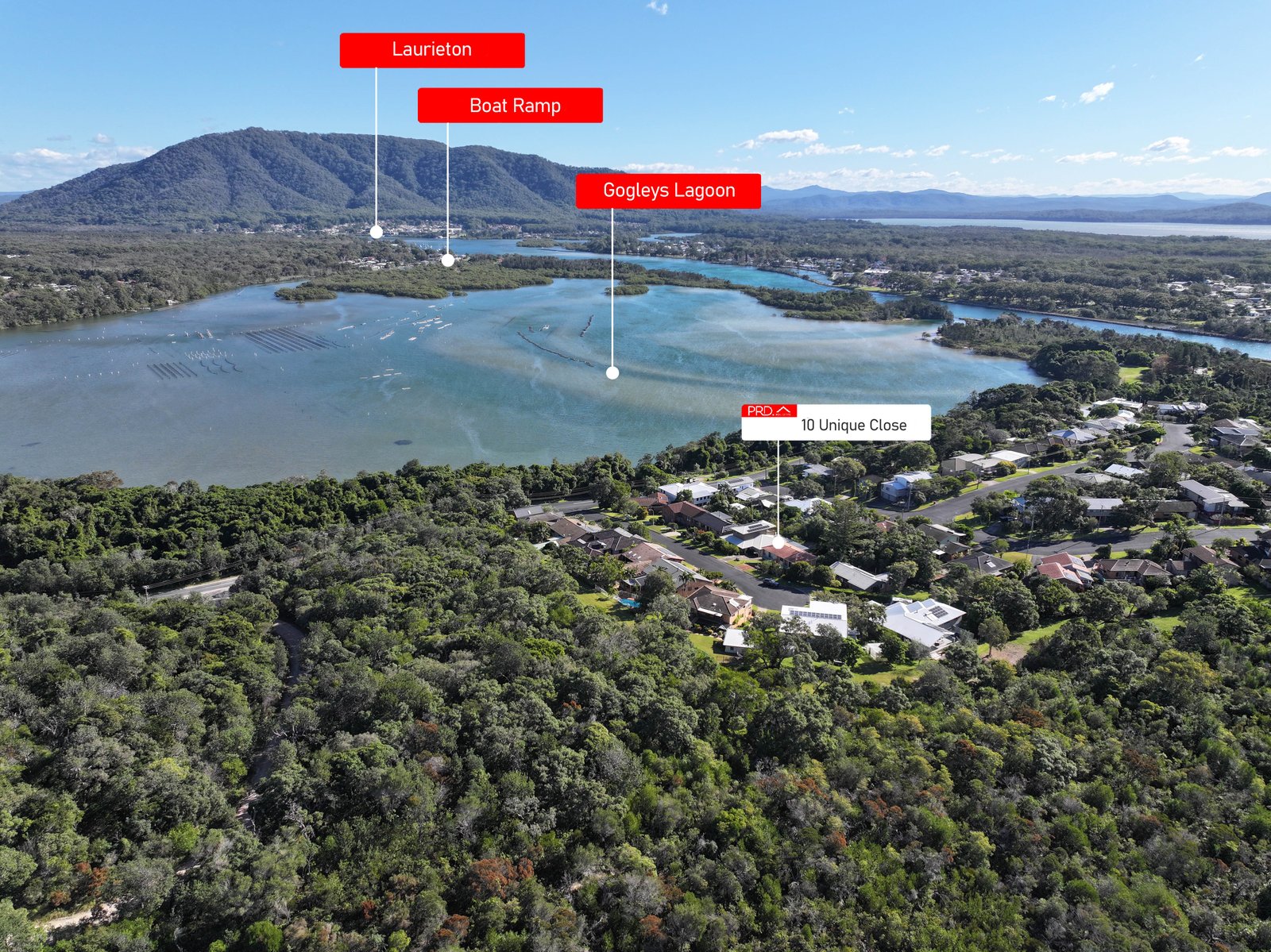 10 Unique Close CAMDEN HEAD 18