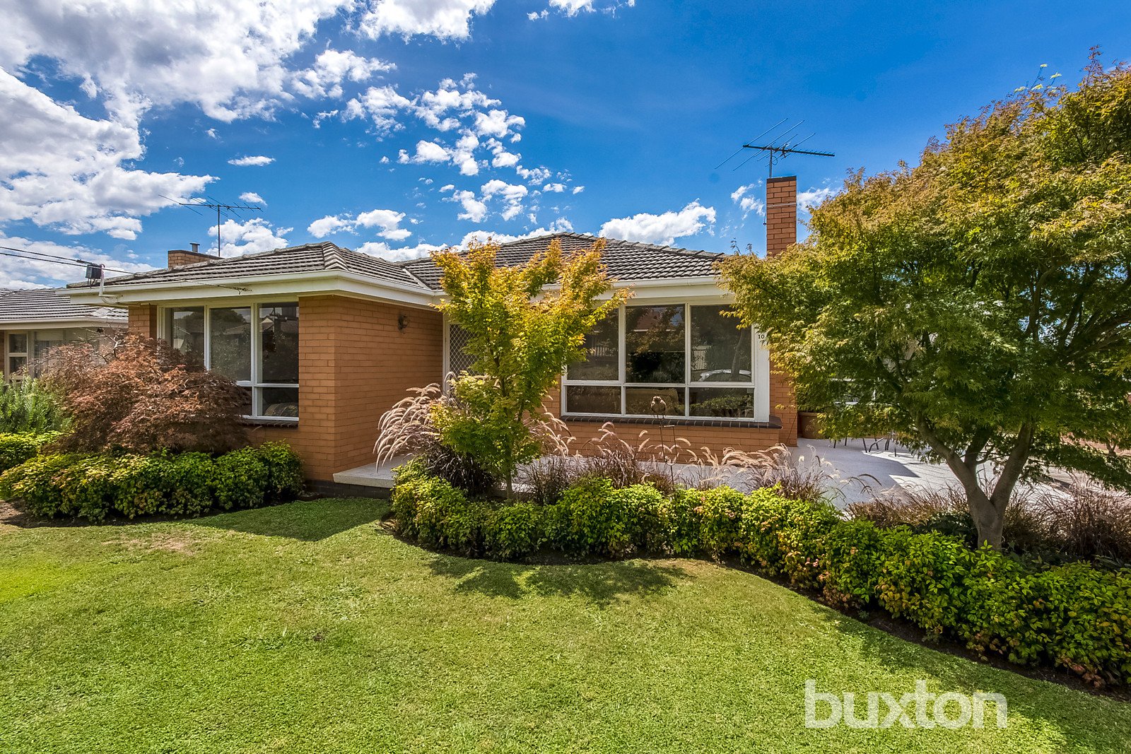 Gallery: 10 Walpole Avenue