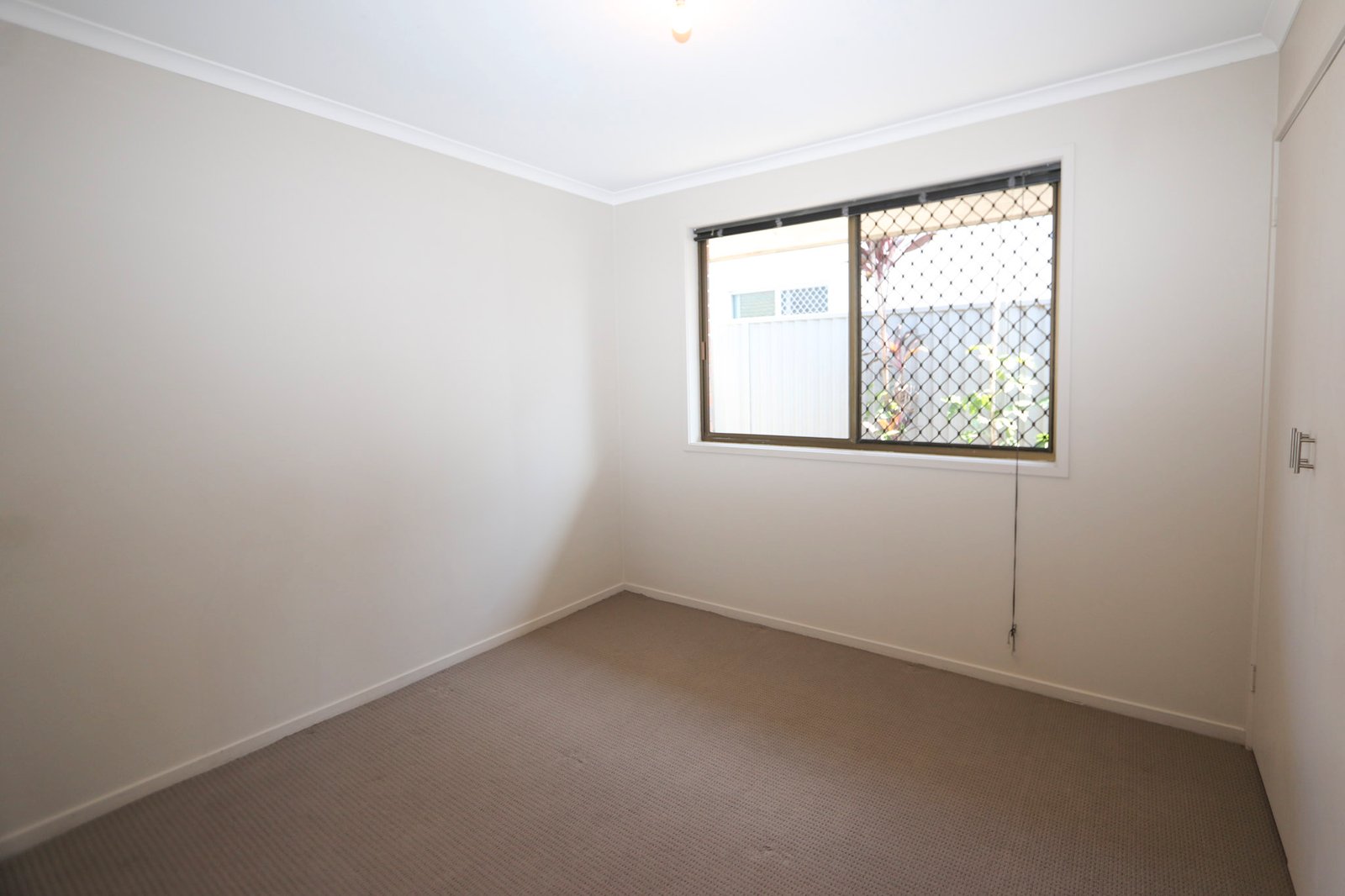 10 Wardoo Street ASHMORE 17