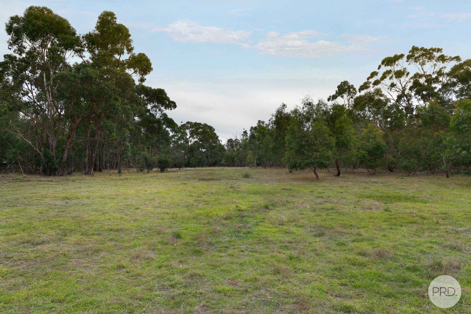 10 Wattle Road DEREEL 4