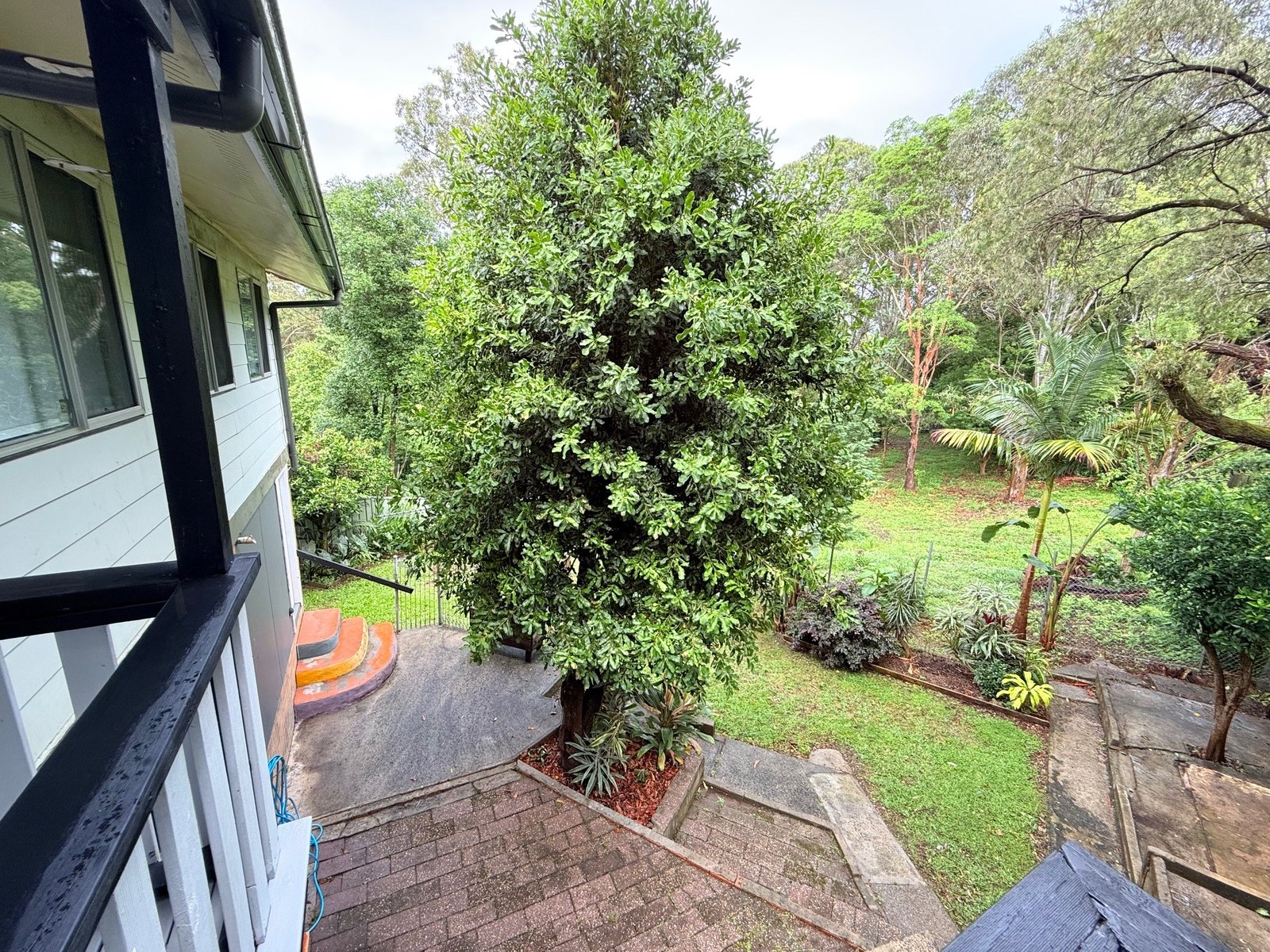 10 Wills Street COFFS HARBOUR 3