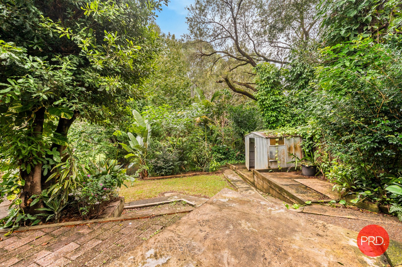 10 Wills Street COFFS HARBOUR 15