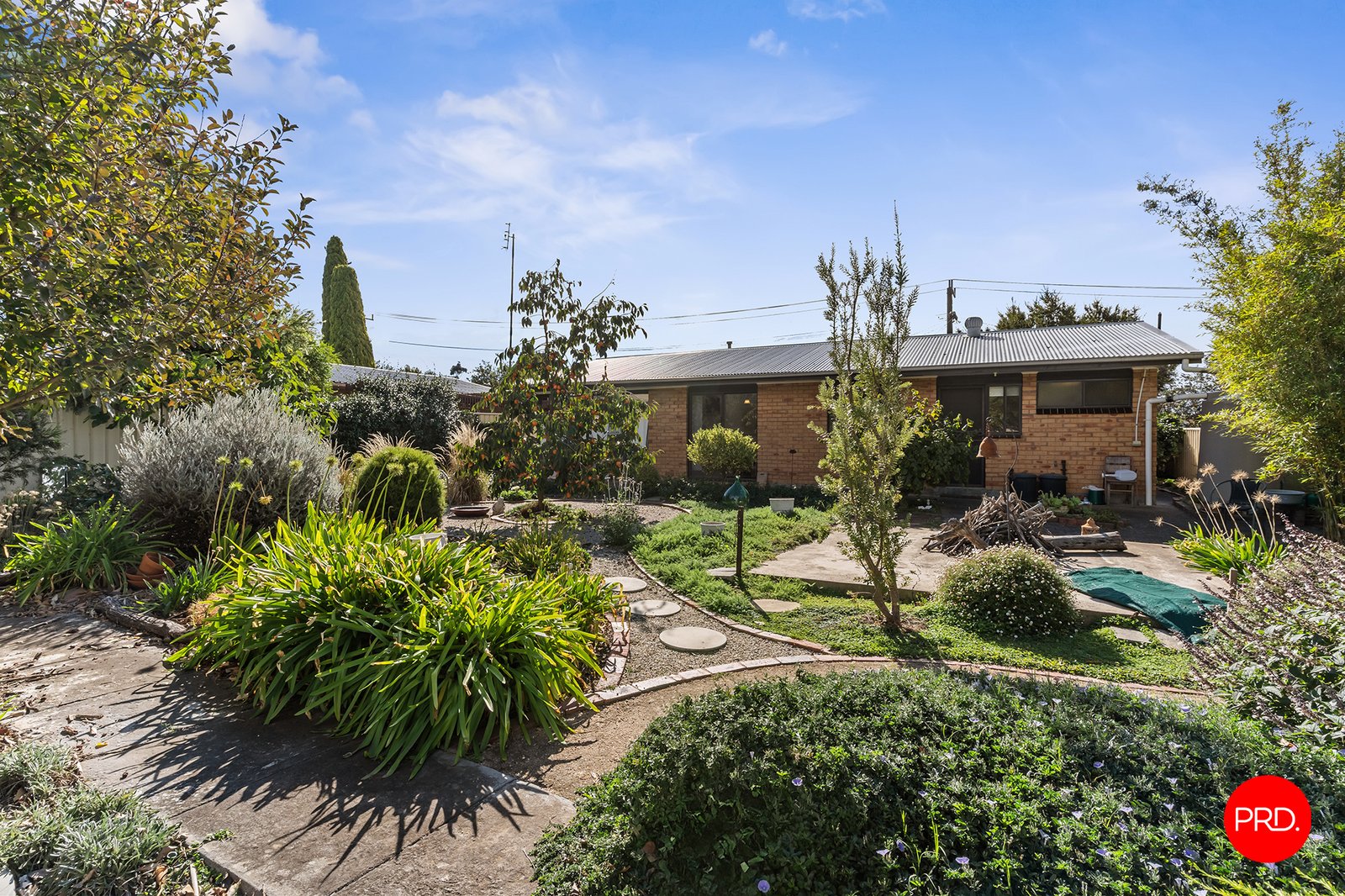 10 Yandong Street WHITE HILLS 11