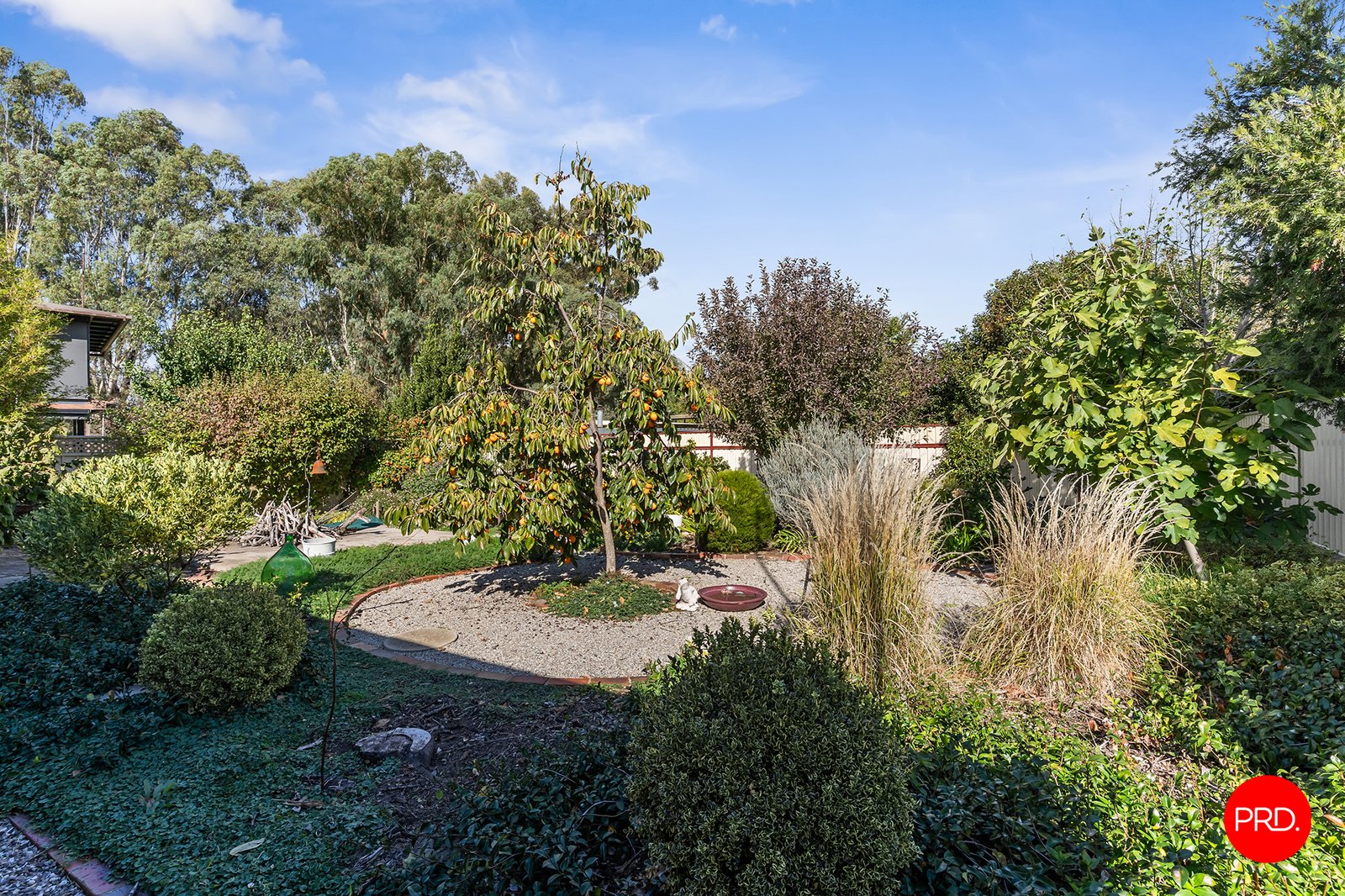 10 Yandong Street WHITE HILLS 12
