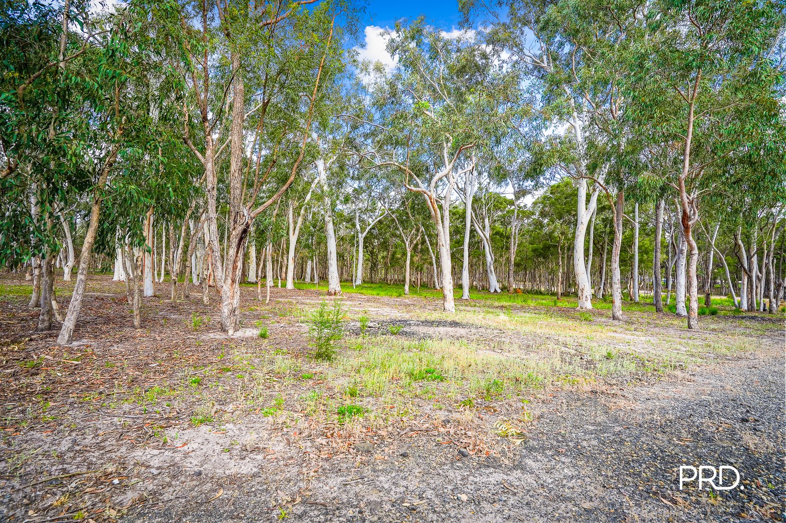 100-102 Rickards Road AGNES BANKS 9