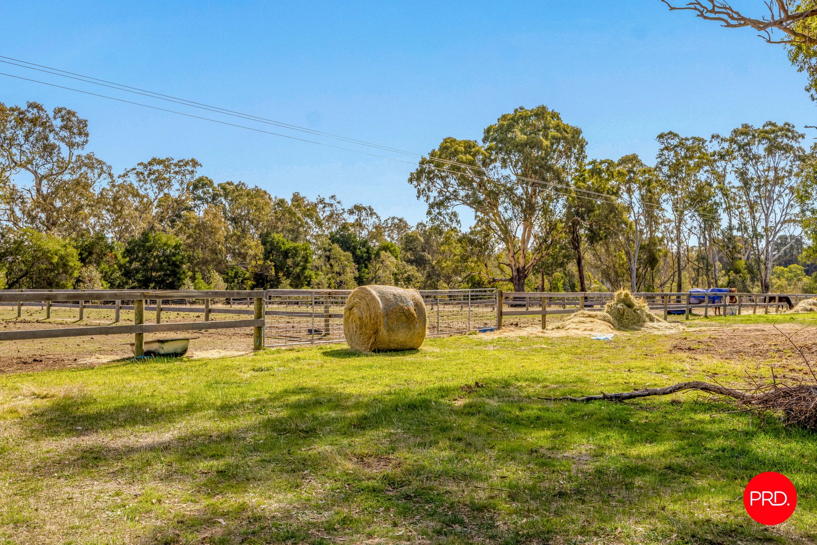 100 Allendale Road ELPHINSTONE 17