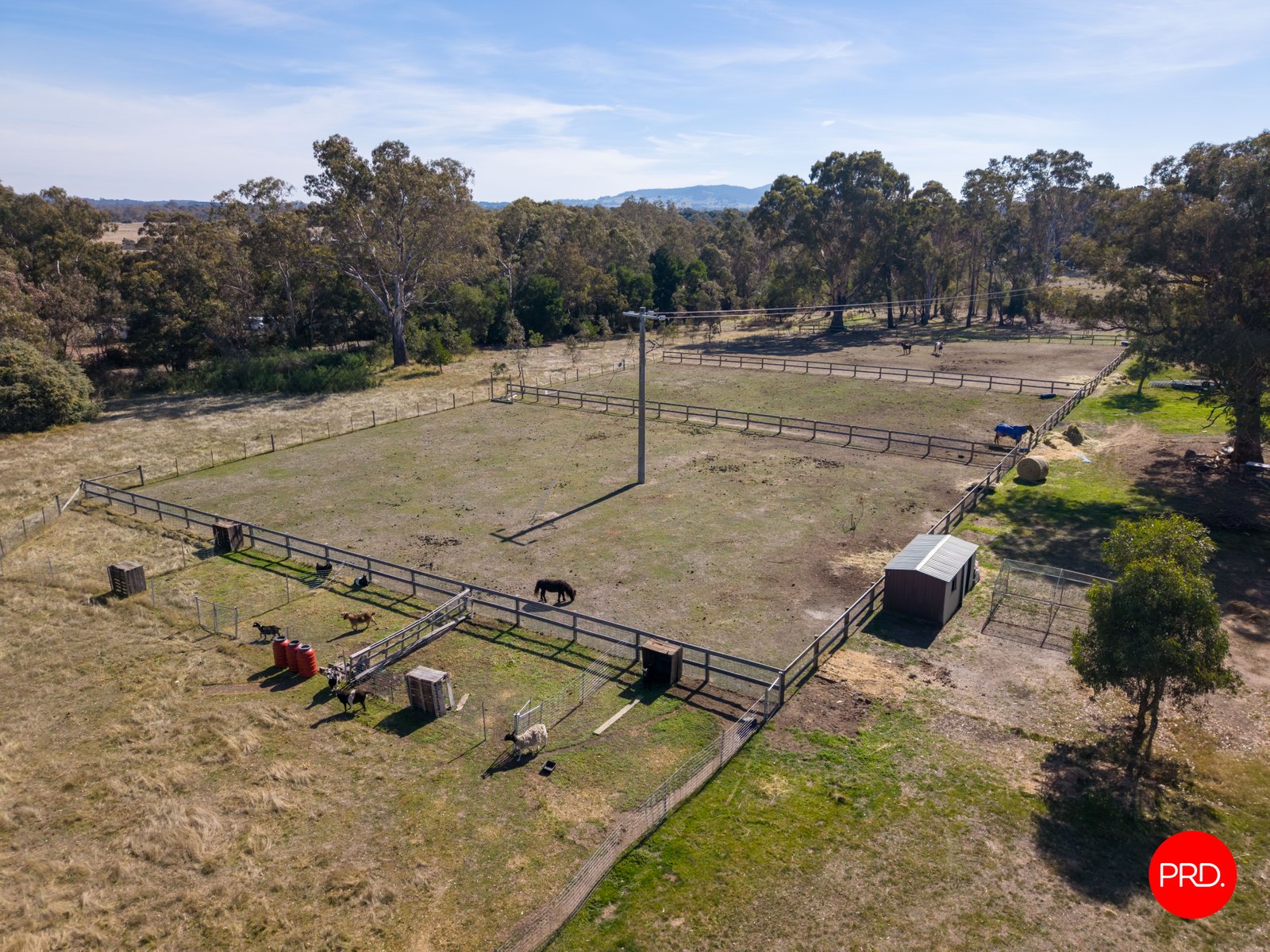 100 Allendale Road ELPHINSTONE 20