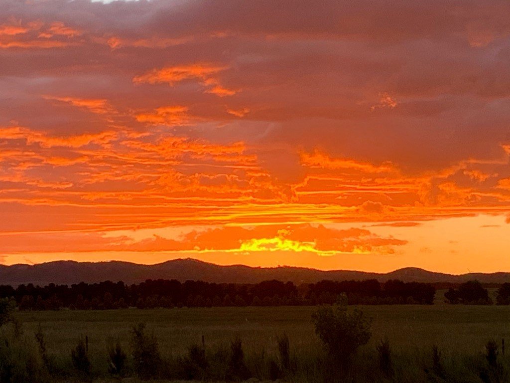 100 Cullulla Road TARAGO 19