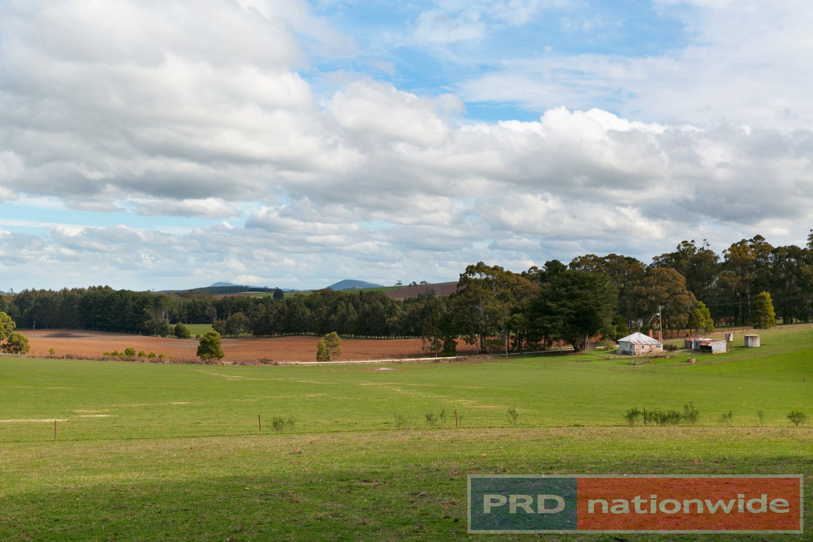 100 Gleesons Road MOLLONGGHIP 11