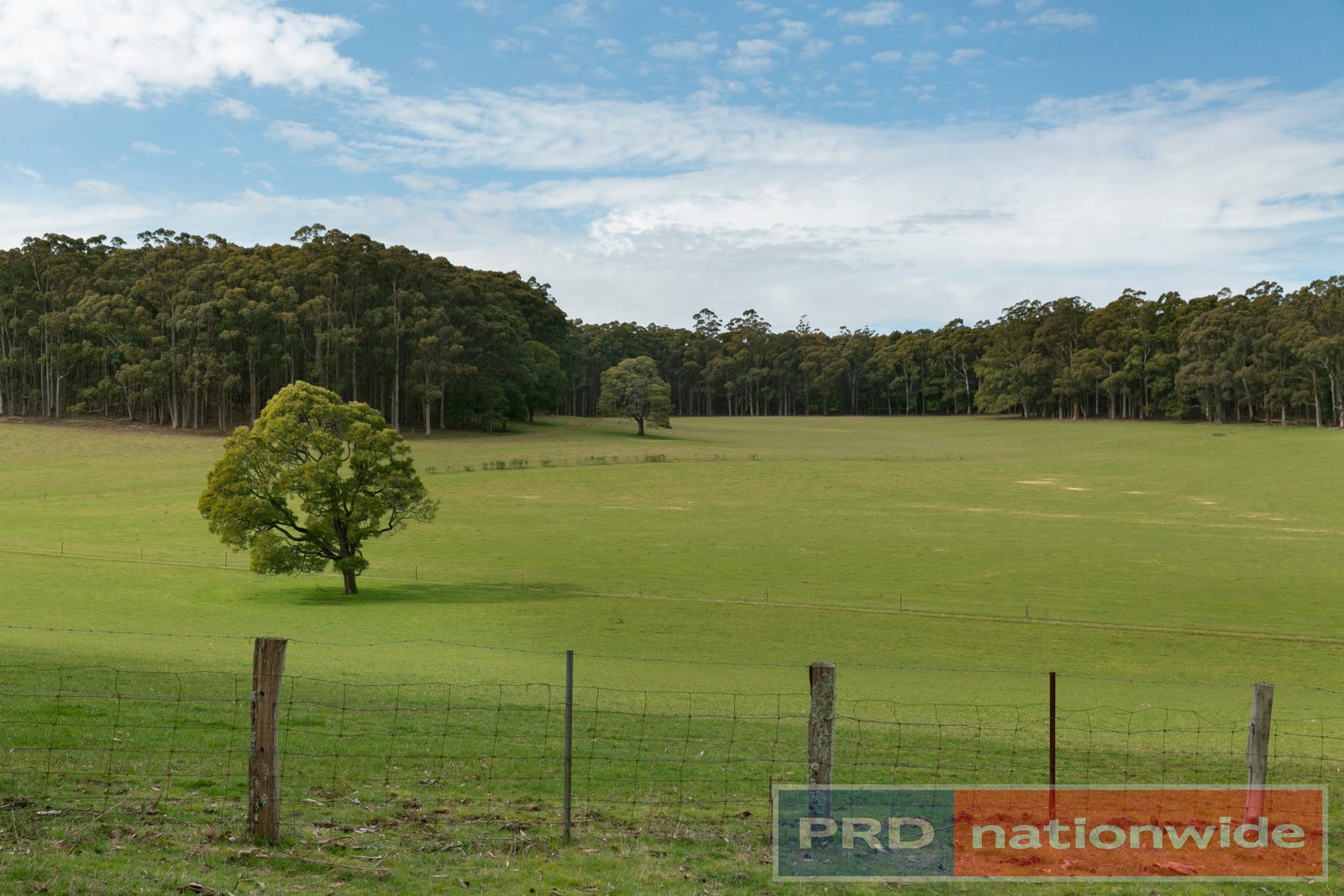 100 Gleesons Road MOLLONGGHIP 14