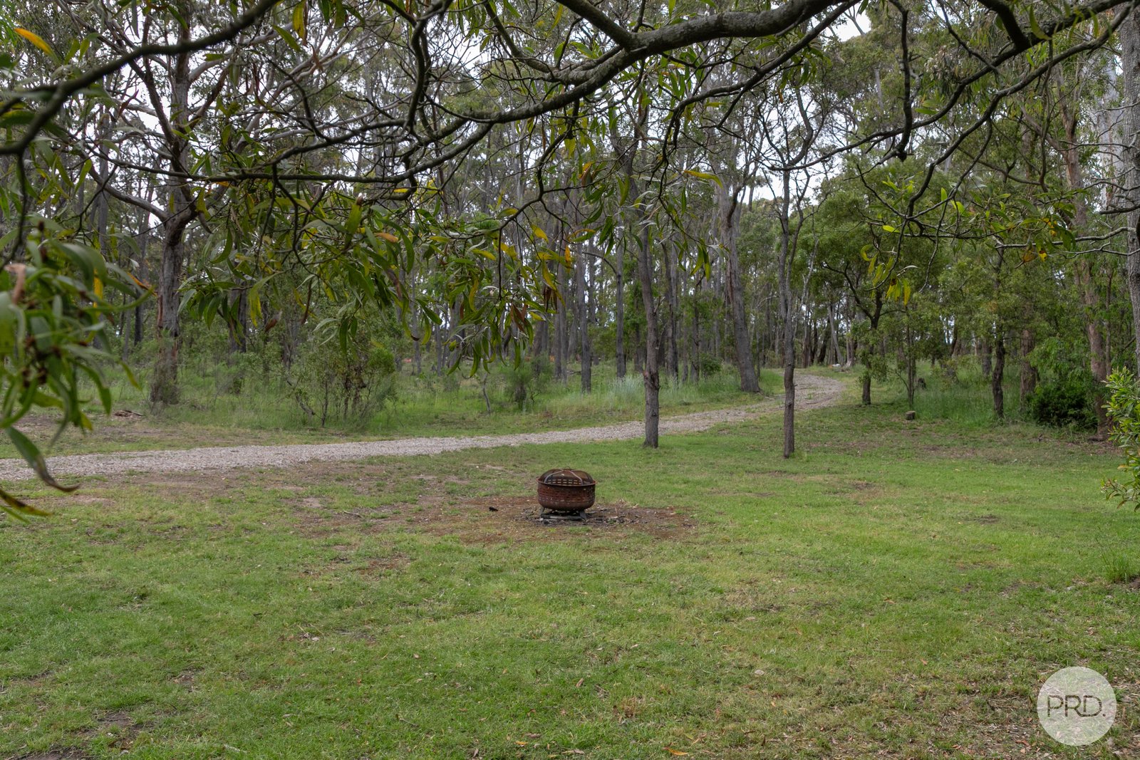 100 Grevillea Drive ENFIELD 11