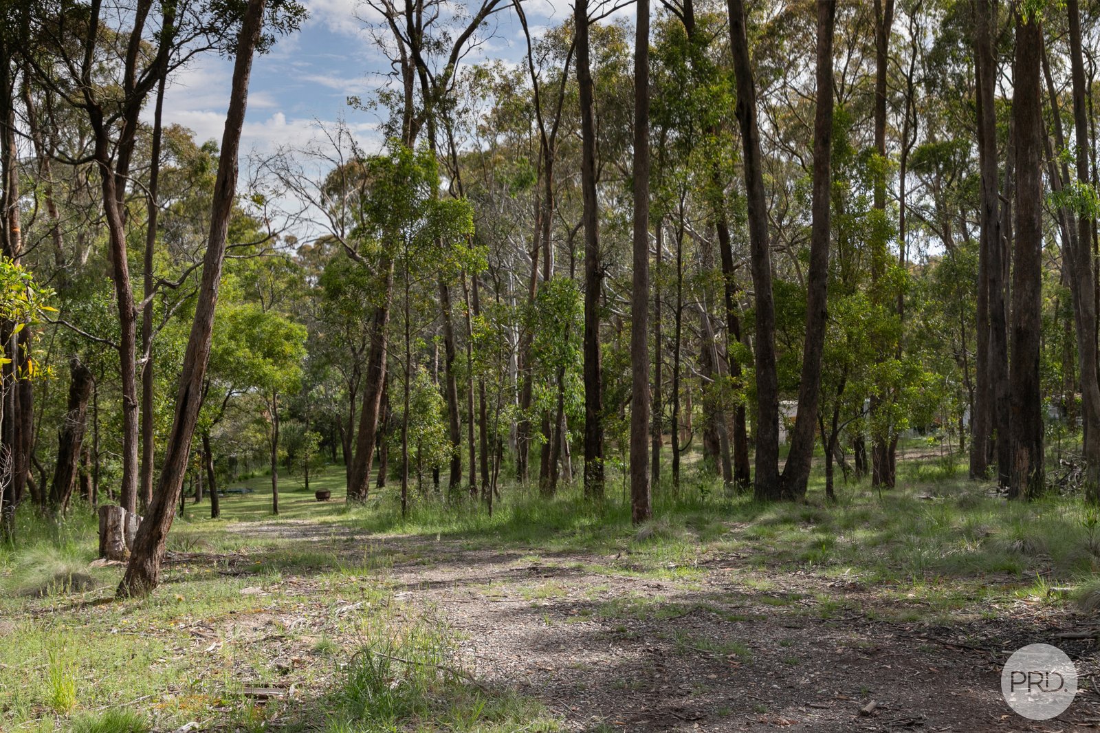 100 Grevillea Drive ENFIELD 12