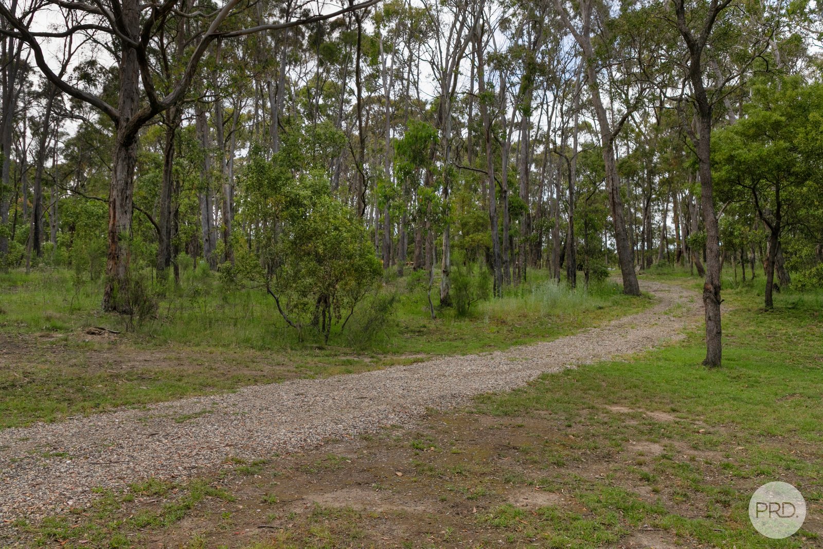 100 Grevillea Drive ENFIELD 14