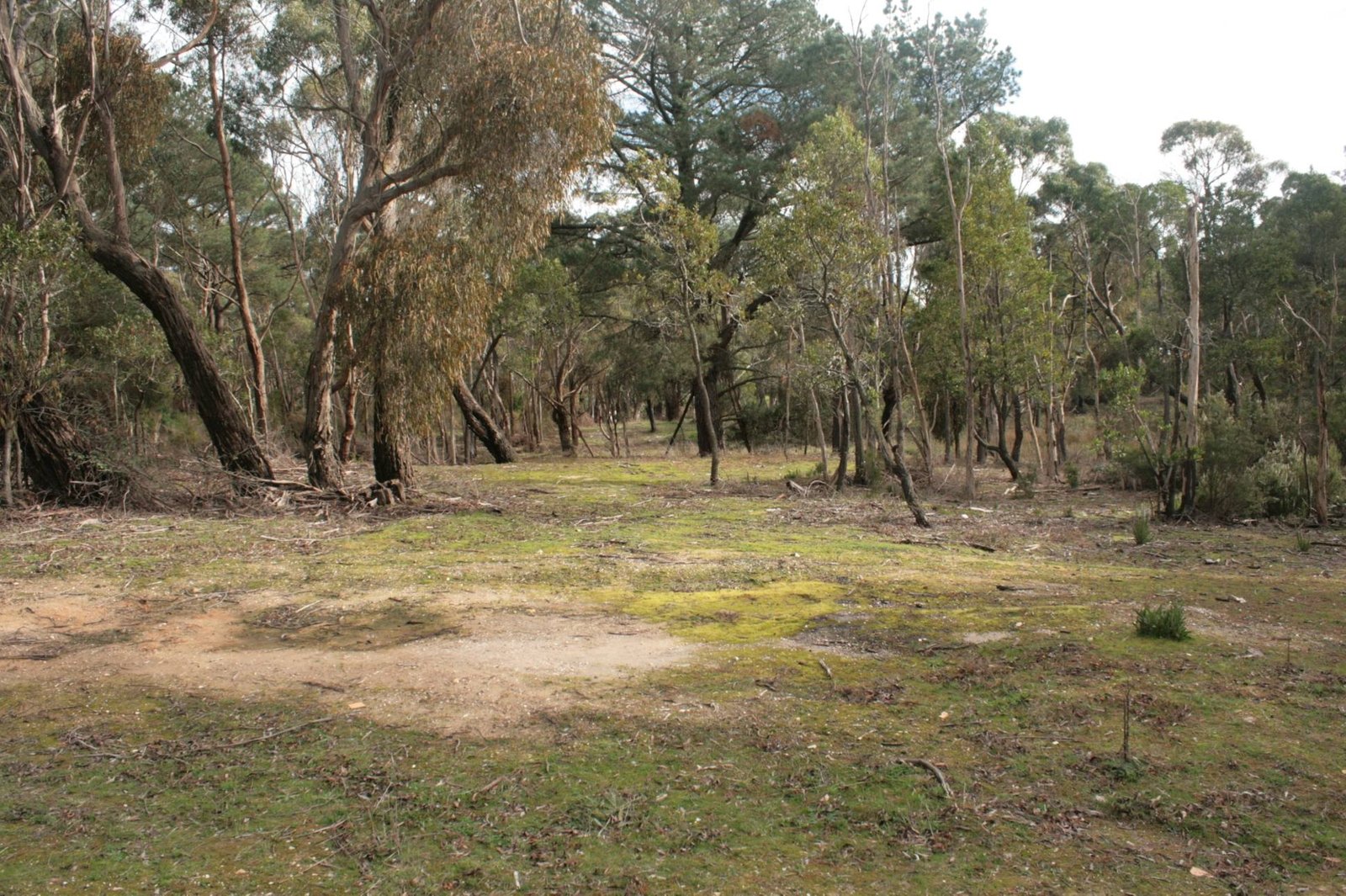 Gallery: 100 Hiscock Gully Road