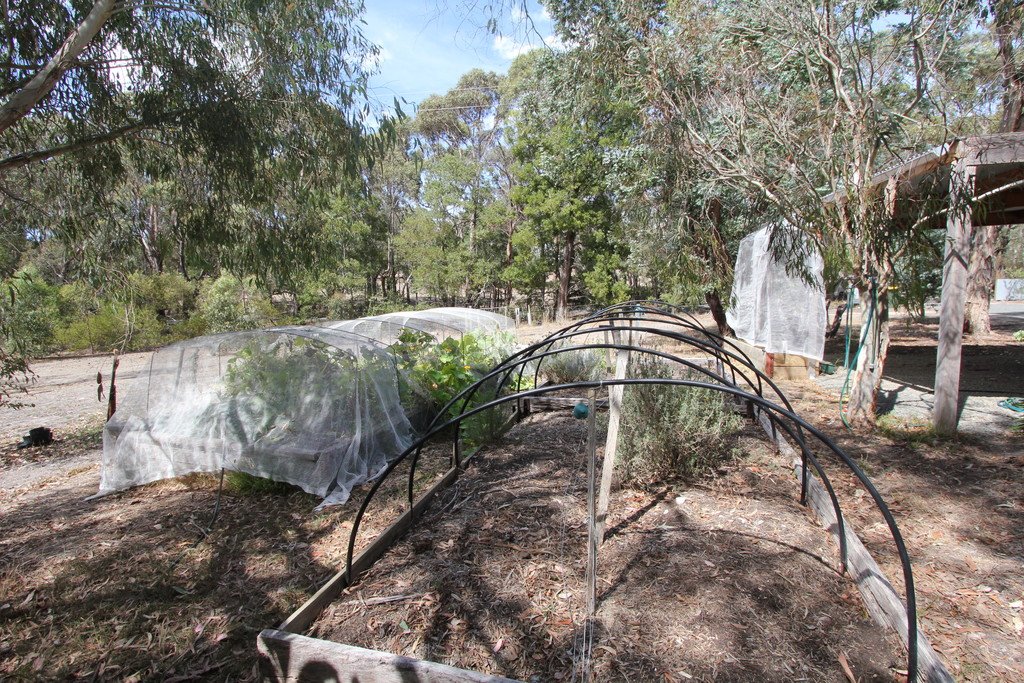 100 Jollys Hill Road SMYTHES CREEK 15