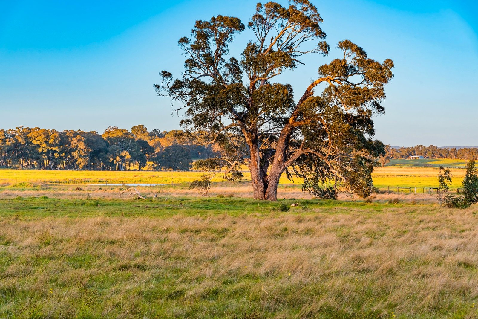 Real Estate and Property in 100 Mactiers Lane, Metcalfe, VIC