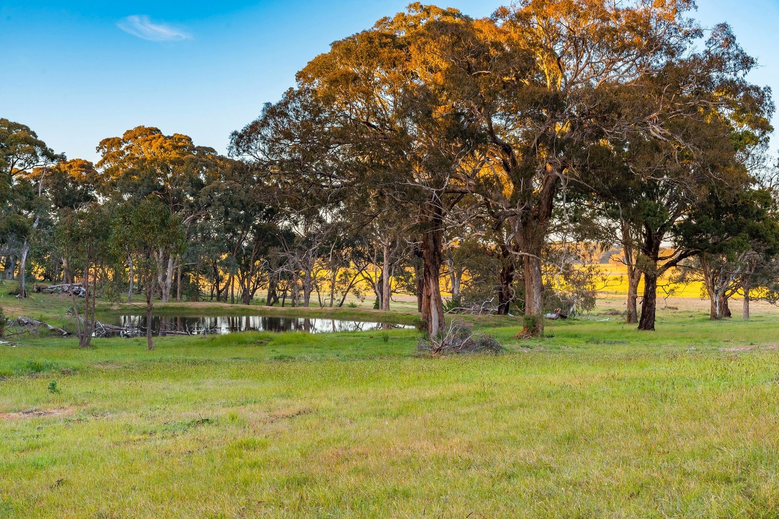 Real Estate and Property in 100 Mactiers Lane, Metcalfe, VIC