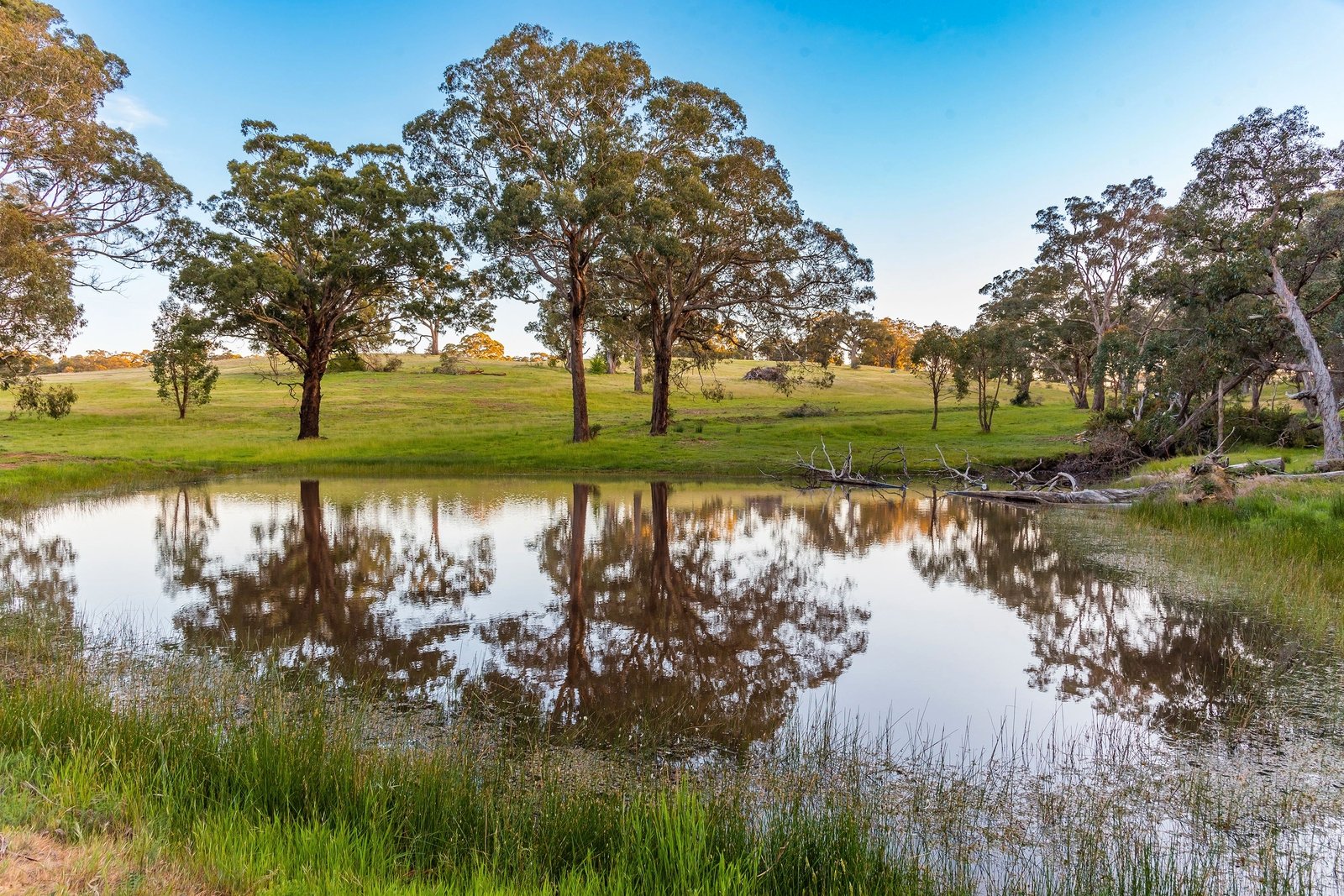 Real Estate and Property in 100 Mactiers Lane, Metcalfe, VIC