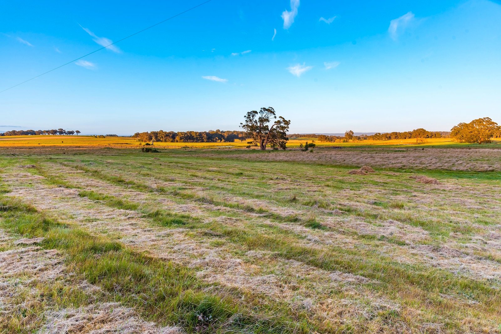 Real Estate and Property in 100 Mactiers Lane, Metcalfe, VIC