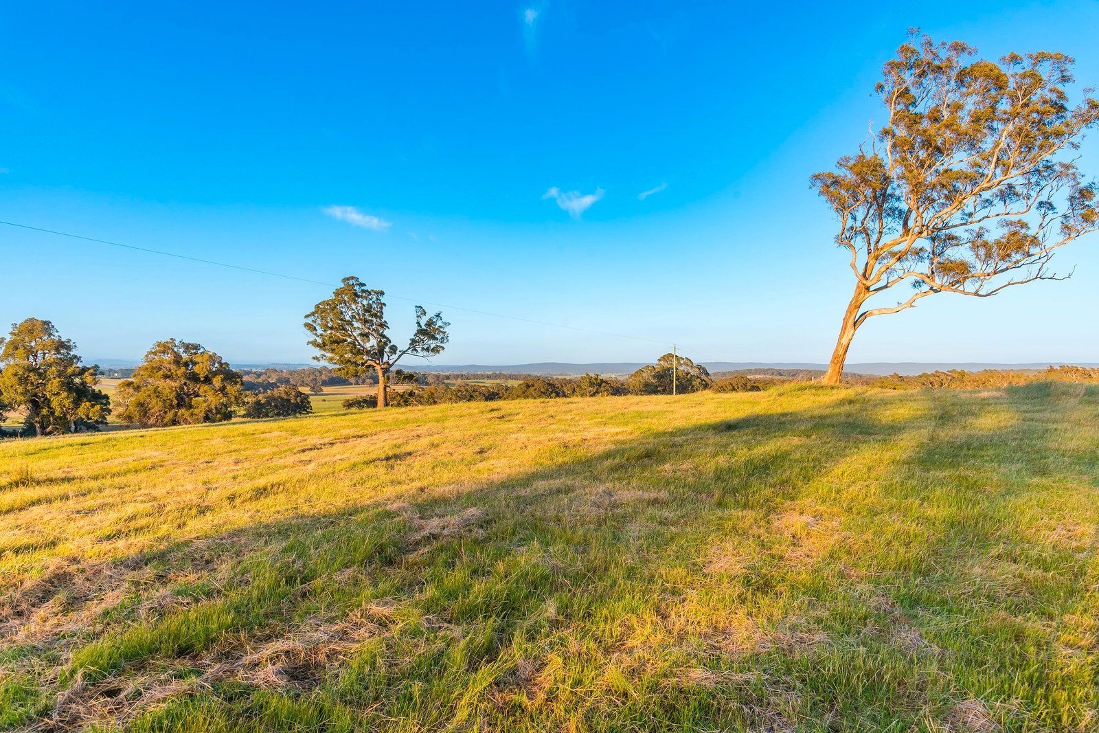 Real Estate and Property in 100 Mactiers Lane, Metcalfe, VIC
