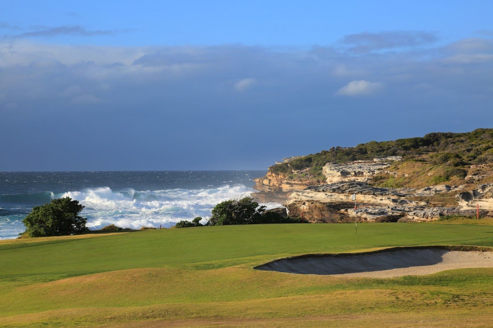 100 Page Street PAGEWOOD 2