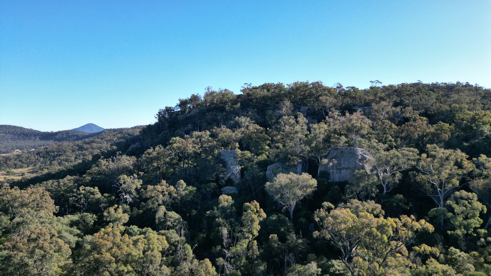 1000 Yarrawa Road YARRAWA 7