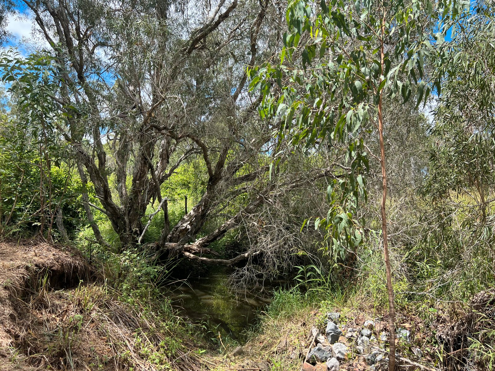 1002 GladstoneMonto Road CALLIOPE QLD 4680