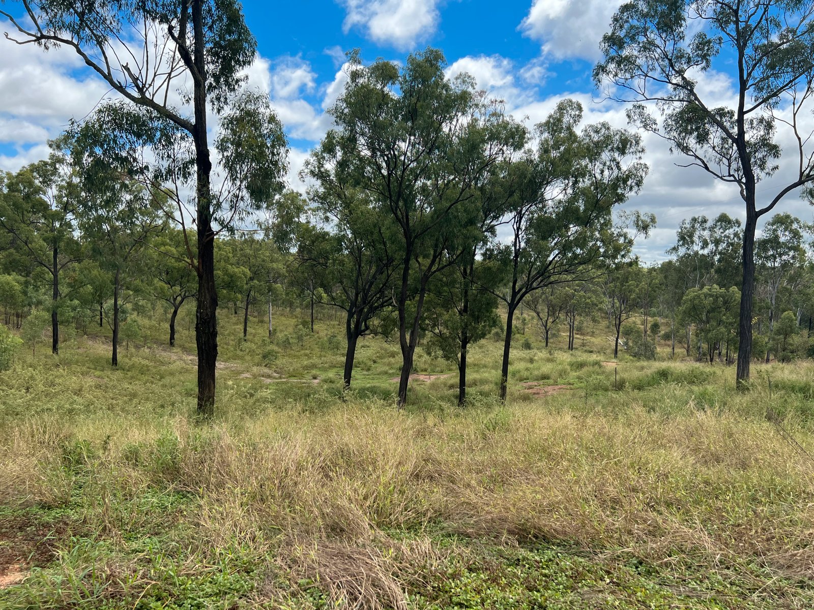 1002 GladstoneMonto Road CALLIOPE QLD 4680