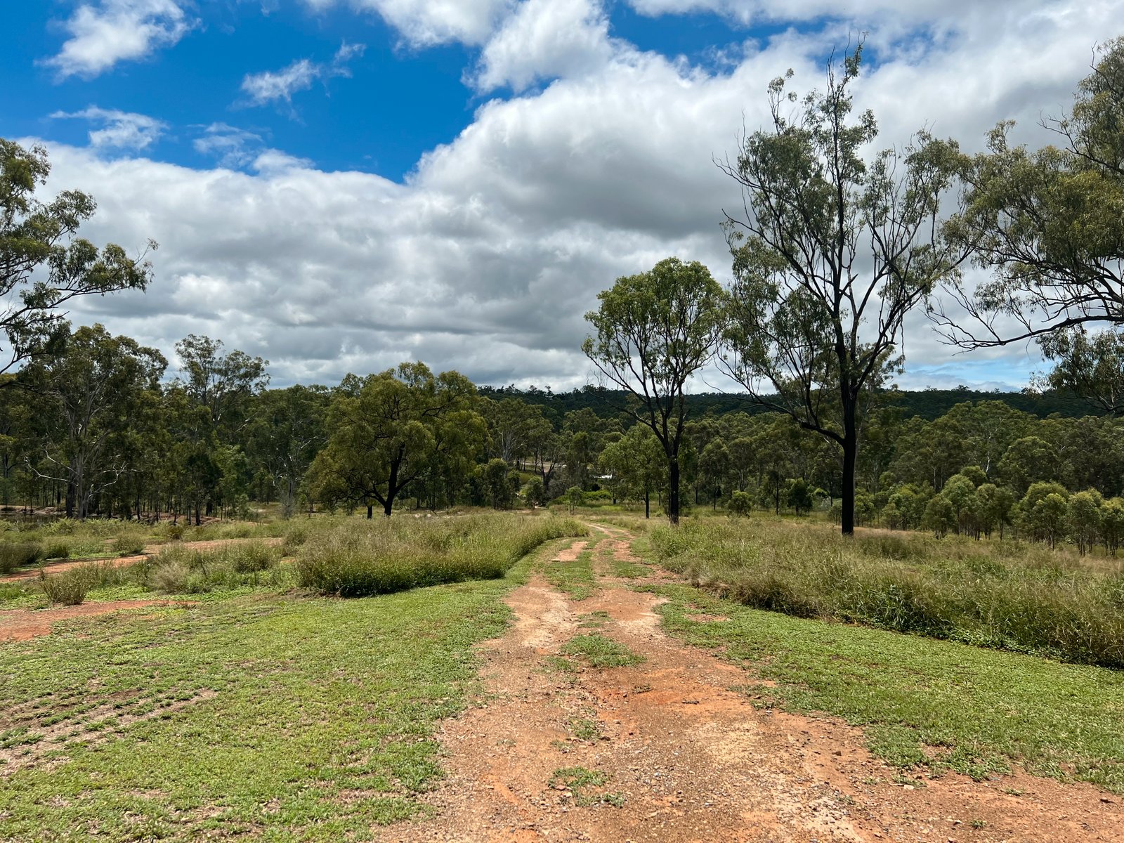 1002 Gladstone-Monto Road CALLIOPE 29