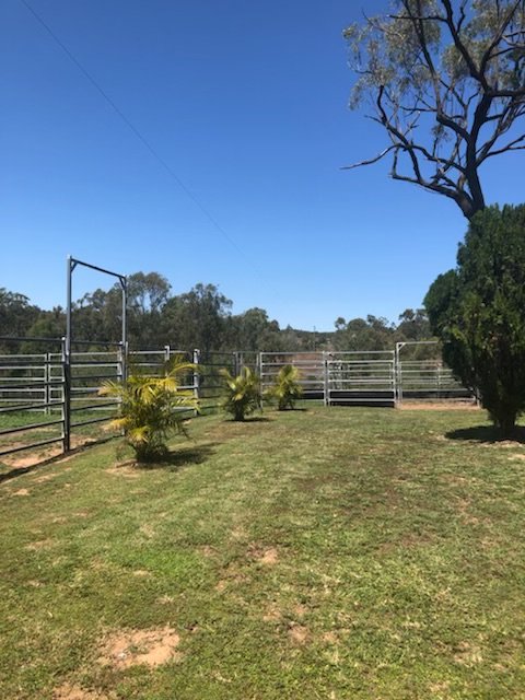 1002 Gladstone-Monto Road CALLIOPE 31