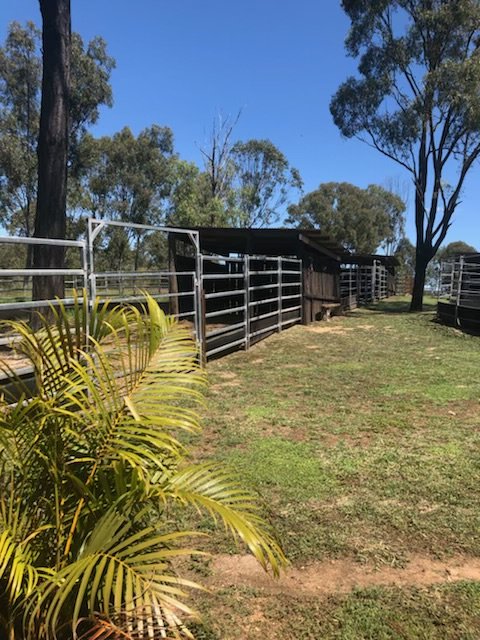 1002 Gladstone-Monto Road CALLIOPE 32