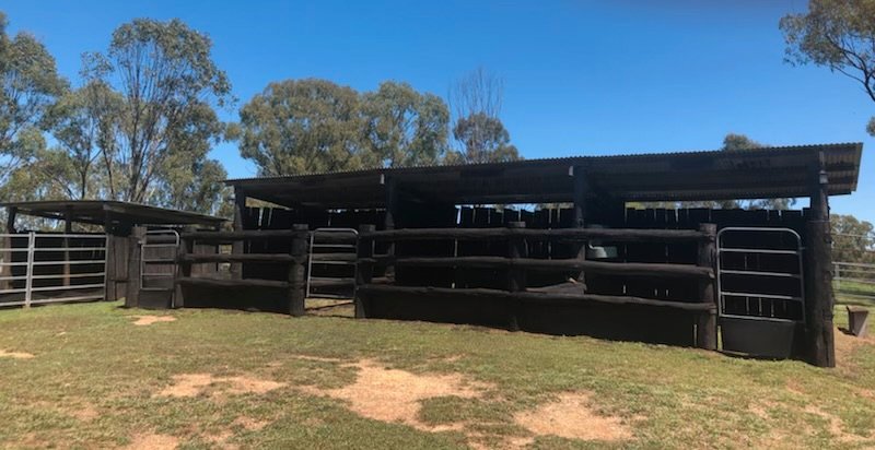 1002 Gladstone-Monto Road CALLIOPE 33