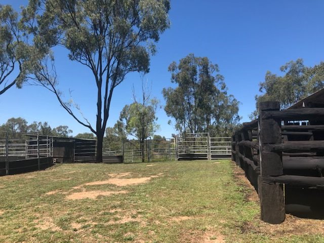 1002 Gladstone-Monto Road CALLIOPE 35