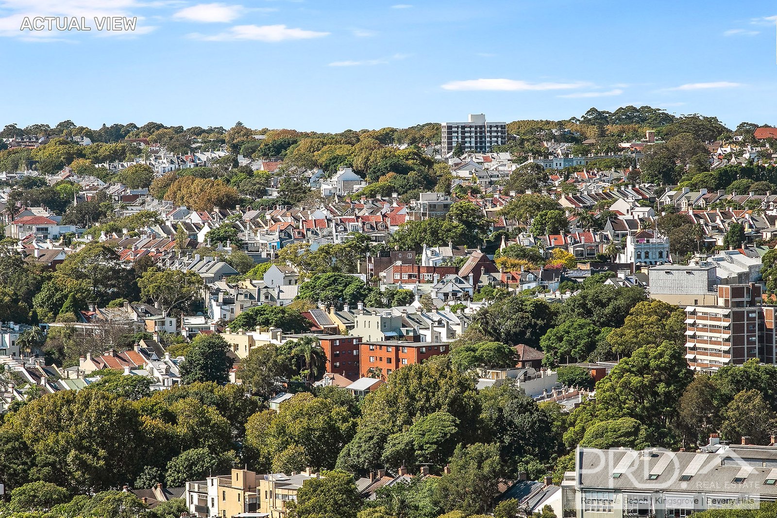 1004/2-14 Kings Cross Road POTTS POINT 13