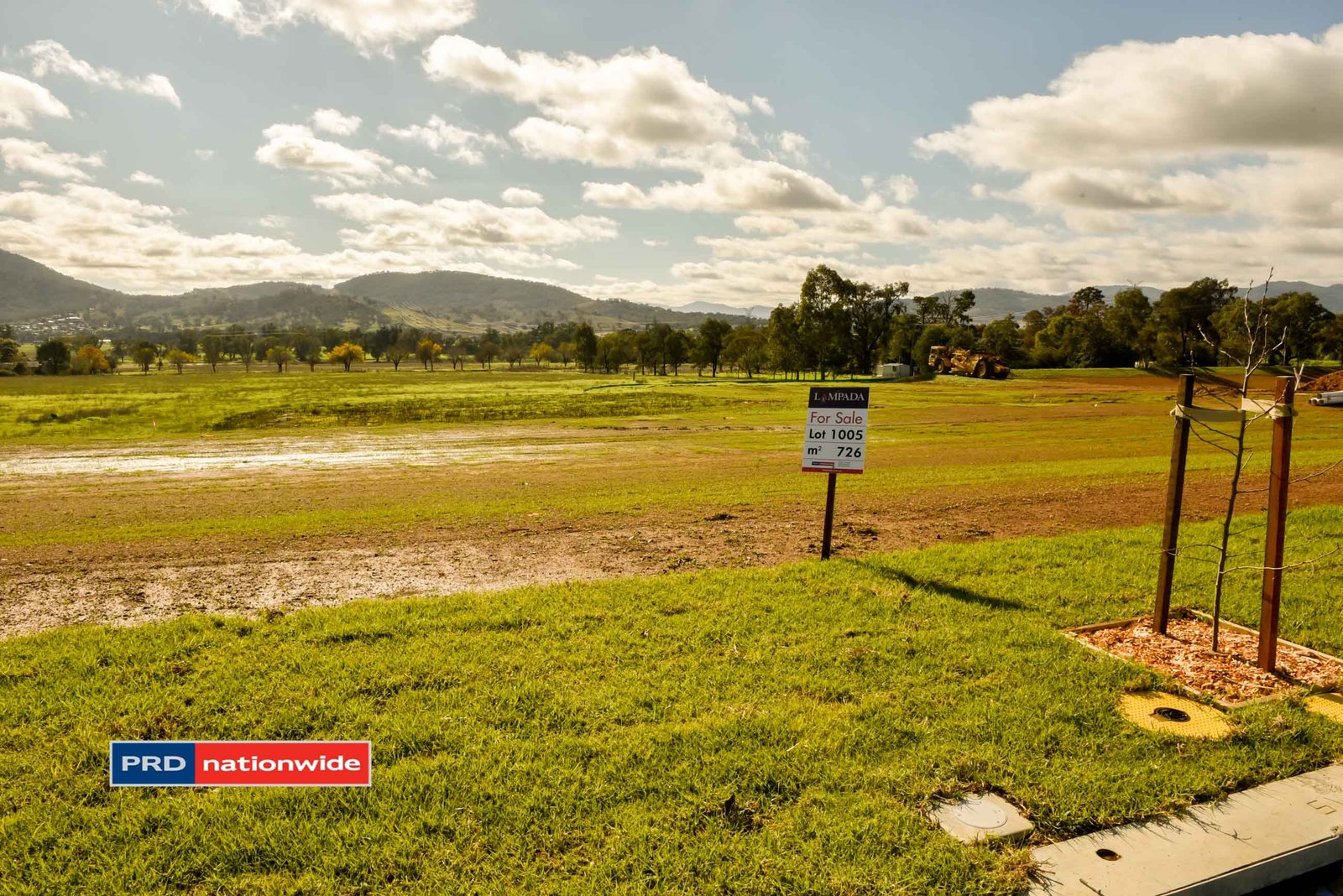 1005 Eagle Avenue TAMWORTH 5