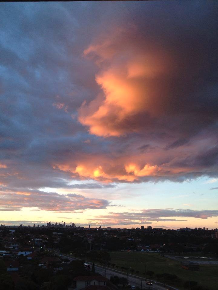 1005/238-262 Bunnerong Road HILLSDALE 7