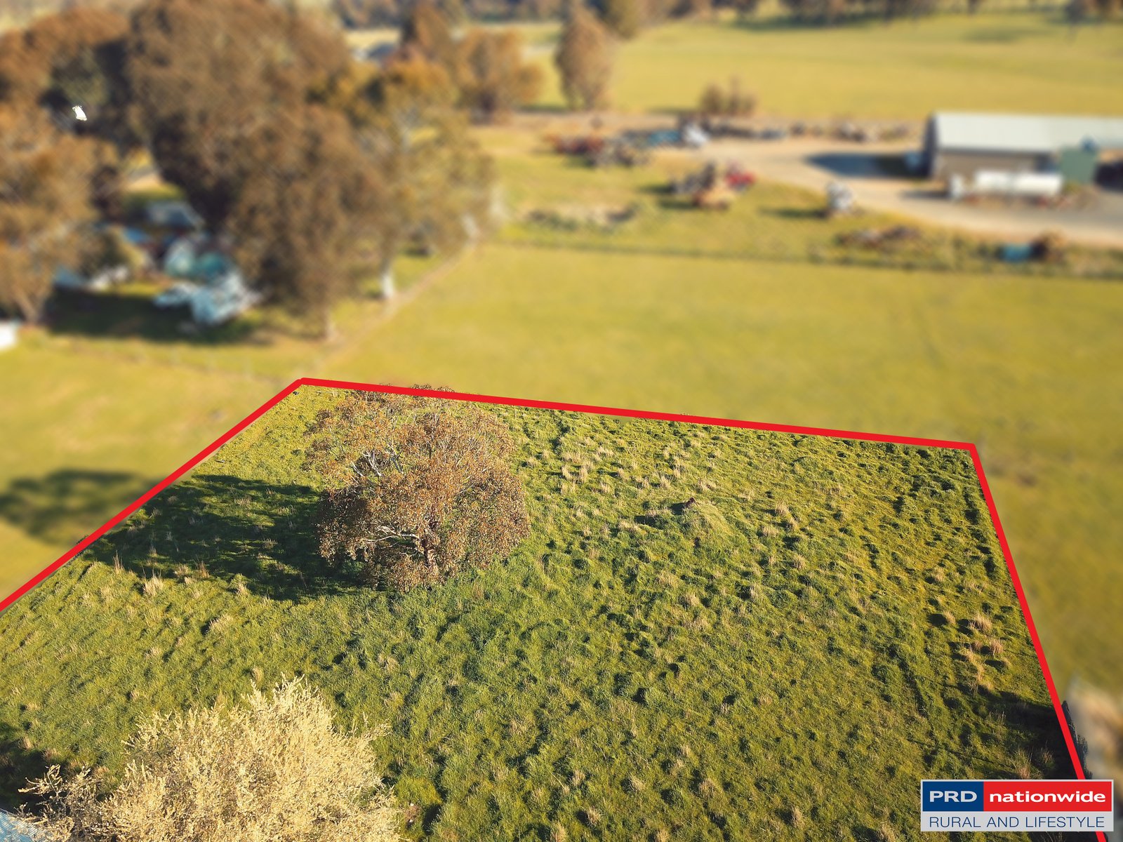 101 Albury Street TUMBARUMBA 9