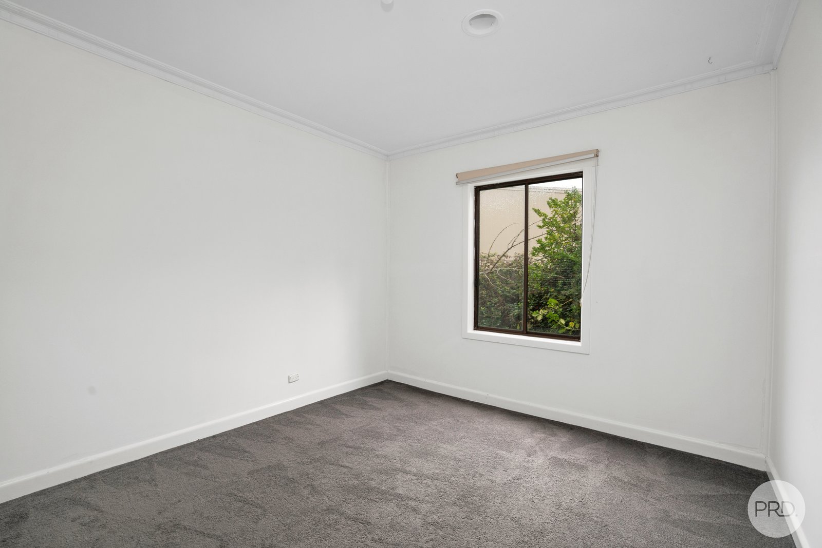 101 Beverin Street SEBASTOPOL 6