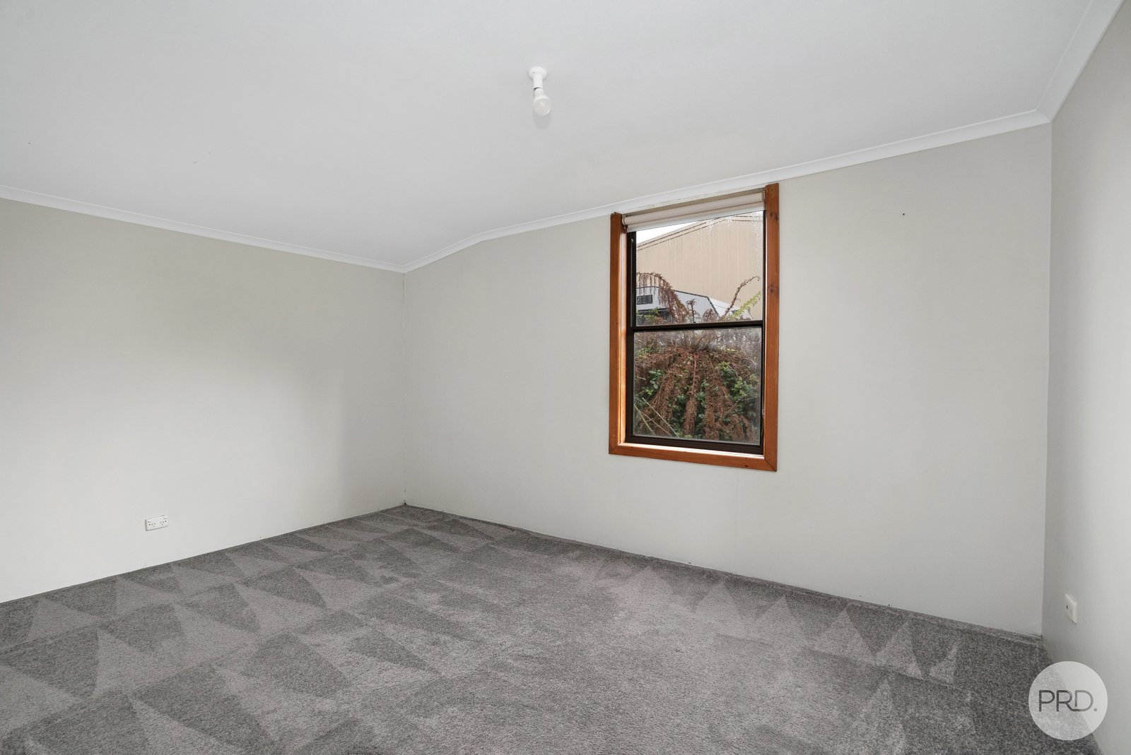 101 Beverin Street SEBASTOPOL 7